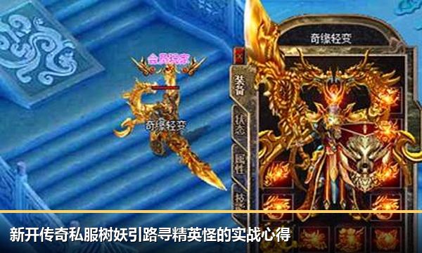 新开传奇私服树妖引路寻精英怪的实战心得