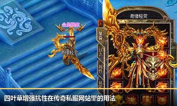 四叶草增强抗性在传奇私服网站里的用法